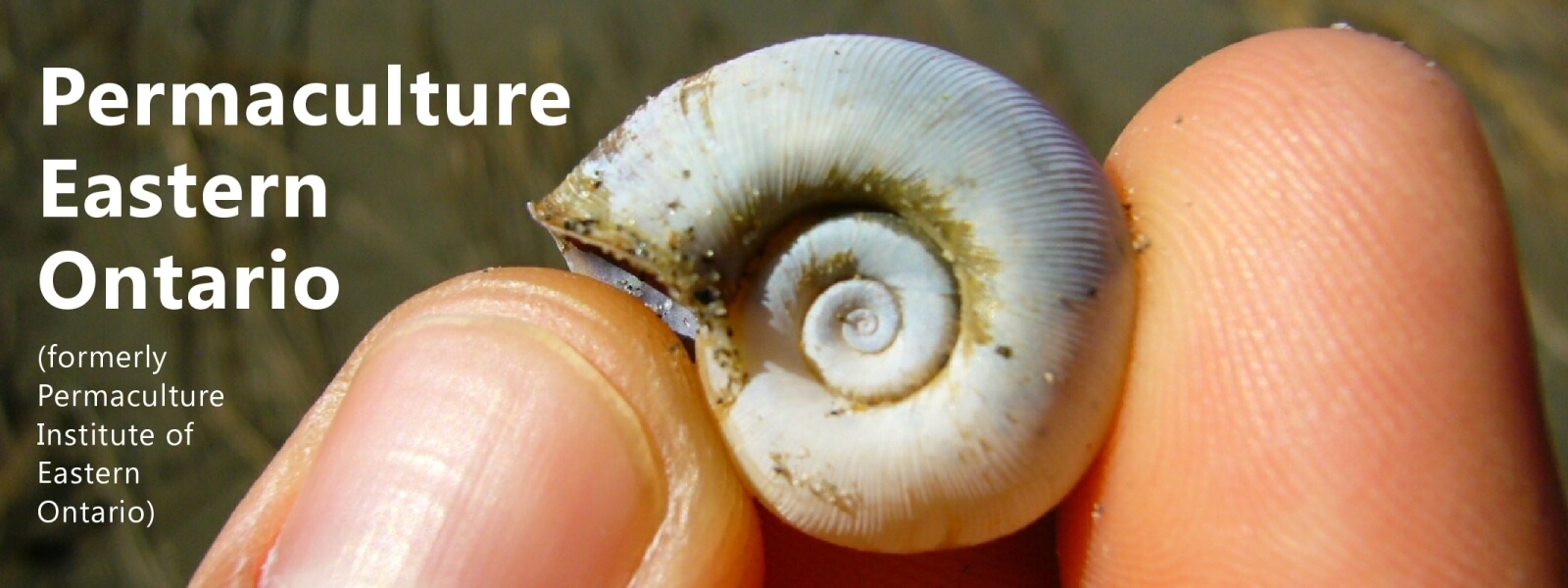 Website banner with name